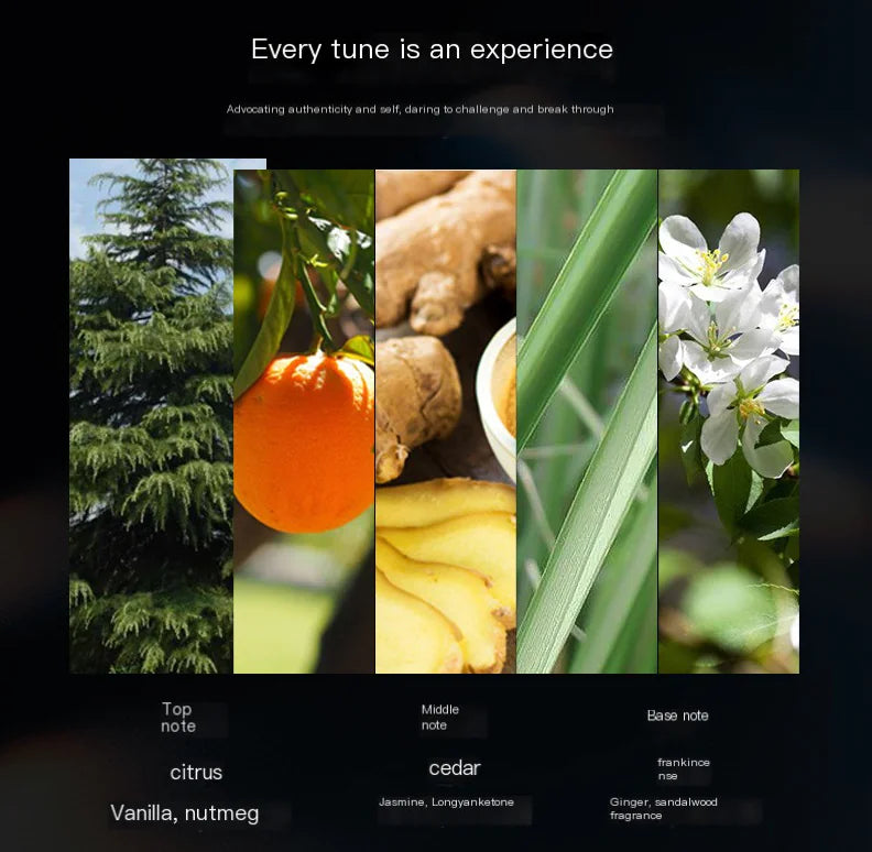 Long-lasting Fresh Men's Fragrance Eau de Toilette